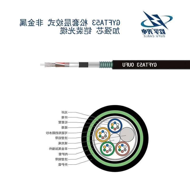 威海市GYFTA53光缆